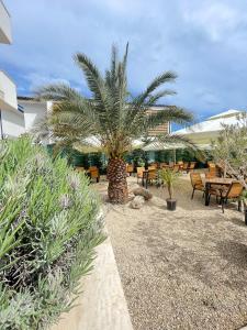 a palm tree in a yard with tables and chairs at Escape Vama Veche in Vama Veche