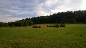 Príroda v okolí horskej chaty