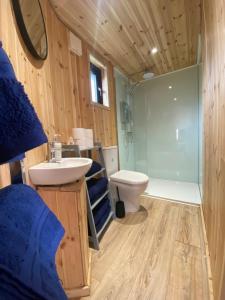 a bathroom with a sink and a toilet and a shower at Silo Blue in Great Dunmow