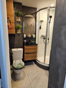 une salle de bain avec douche, toilettes et miroir dans l'établissement LE BALI, à La Grande Motte 30 autres photos