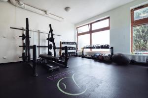 Fitness centrum a/nebo fitness zařízení v ubytování Oaza Ricany