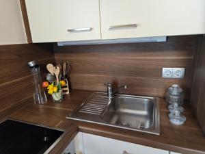 Η κουζίνα ή μικρή κουζίνα στο Apartments Faak