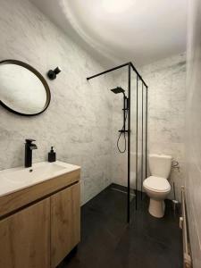 a bathroom with a sink and a toilet and a mirror at Centre village station ski in Saint-Gervais-les-Bains