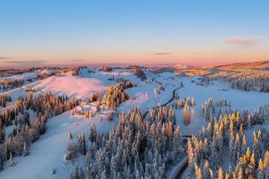 an aerial view of a snow covered forest with trees at Suite Cosy Chic in Saint-Claude +1 photo