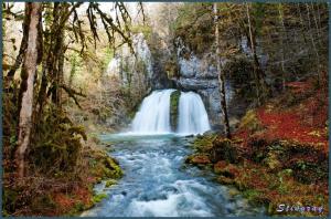 a waterfall in a forest next to a river at Suite Cosy Chic in Saint-Claude