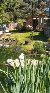 a garden with a pond with plants and a house at Domaine de la Mamounette in Champclause
