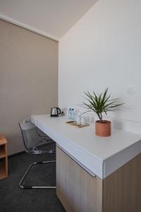 an office counter with a potted plant on it at Hotel Taxis Bratislava in Bratislava +3 photos
