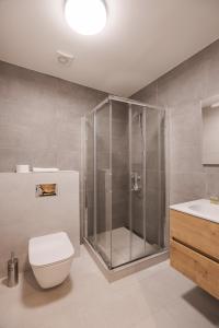 a bathroom with a shower and a toilet and a sink at Hotel Taxis Bratislava in Bratislava