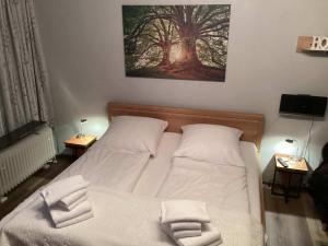 Un dormitorio con una cama con dos toallas blancas. en Ferienwohnung Harzer Sonnenbaum, en Sankt Andreasberg 8 fotos más