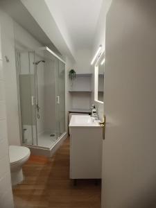 ein Badezimmer mit Dusche, Waschbecken und Toilette in der Unterkunft Precioso piso cerca de la catedral in Almería