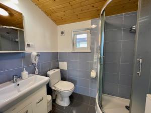 a bathroom with a toilet and a sink and a shower at Przystań Ogrodowa Mikołajki in Mikołajki +33 photos