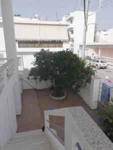 Balkón nebo terasa v ubytování Petra Casa