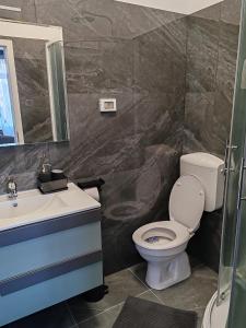a bathroom with a toilet and a sink and a mirror at Apartman Istria Green in Kaštel +28 photos