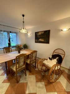 Φωτογραφία από το άλμπουμ του Wiejskie Marzenie σε Marianowo