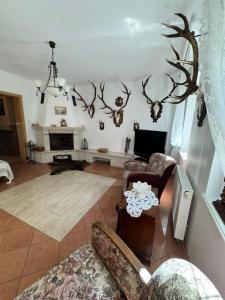 Una sala de estar con chimenea y astas en la pared. en Wiejskie Marzenie, en Marianowo