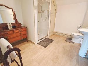 a bathroom with a shower and a toilet and a sink at The Darlington Hotel in Camelford