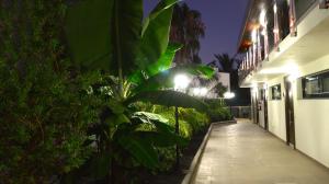 Gallery image of La Cataleya in San Agustin