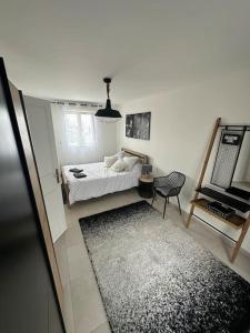 1 dormitorio con 1 cama, 1 silla y 1 alfombra en Luxueuse Villa Neuve avec Jardin, en Colombes