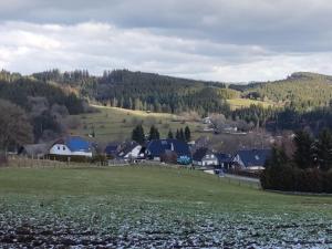 a village with a fence and a field with houses at Holzhaus Chalet Nationalpark Eifel Hund willkommen in Hellenthal