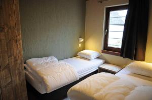 a room with two beds and a window at Maison du Lac 4 in Vielsalm +17 photos