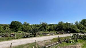 a group of cows on a road next to a fence at Edelvais1 Еделвайс1 in Chukovezer
