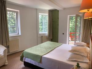 a bedroom with a bed and two windows at Pension Casa Olga in Paraul Rece +90 photos