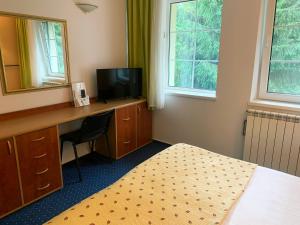 a bedroom with a desk and a bed and a mirror at Pension Casa Olga in Paraul Rece