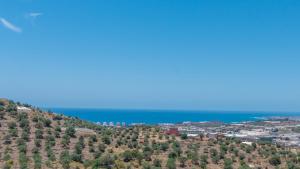 Táj Show holiday homes közelében