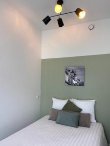 馬斯垂克的住宿－Alex Maastricht，一间卧室配有一张带吊扇的床