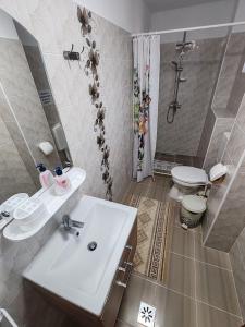 ein Badezimmer mit Waschbecken, Toilette und Dusche in der Unterkunft CASA ROTARU in 2 Mai