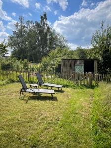 two chairs and a picnic table in a yard at Joly Tiny House in Overijse