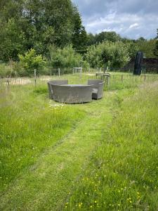 two benches sitting in a field of grass at Joly Tiny House in Overijse