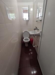 a small bathroom with a toilet and a sink at Mercury Guest House in Veliko Tŭrnovo