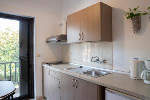 A kitchen or kitchenette at Manos Kritikakis Apartments