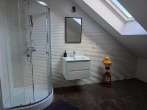 a bathroom with a sink and a shower at Apartamenty u Anety in Wilkasy +16 photos