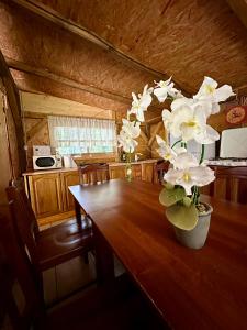 Foto sihtkohas Kobarid asuva majutusasutuse Glamping Krn galeriist