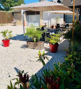 a patio with potted plants and an umbrella at H&ocirc;tel du Roy in Aisey-sur-Seine
