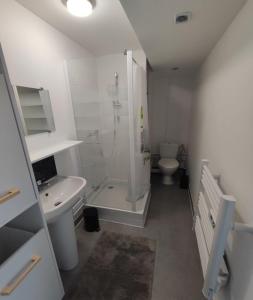 a bathroom with a shower and a sink and a toilet at Residences Florale à Thionville - Coliving - Studios - Appartements in Thionville +68 photos