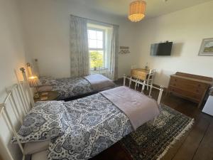 a bedroom with two beds and a tv and a window at Treganoon House, Lanlivery in Bodmin