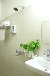a bathroom with a sink and a mirror and a plant at The Nandi International Boutique Stay in Varanasi +65 photos