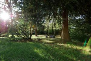a park with trees and a bench in the grass at L'atelier casse-noisettes - gitesdanslain in Pont-dʼAin