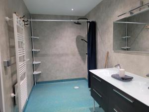 a bathroom with a sink and a shower at Location à la ferme entre lacs et montagnes "chez papy" in Fort-du-Plasne