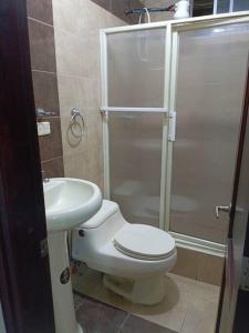 Alojamiento San Cayetano في لوخا: حمام مع دش ومرحاض ومغسلة