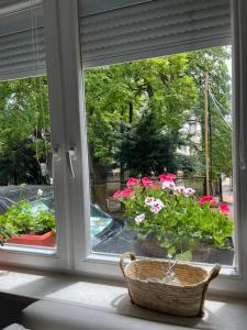 uma janela com flores rosas em uma cesta sobre um balcão em Luksuzni stan u Starom Gradu em Saraievo