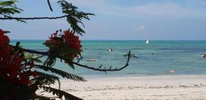 a beach with people in the water and a sail boat at Jambiani Guest Lodge Garden in Jambiani