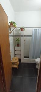 a bathroom with a toilet and a shower with a plant at Casita Libertad Barranco in Lima