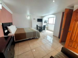 TV a/nebo společenská místnost v ubytování Hotel Posada Del Parque