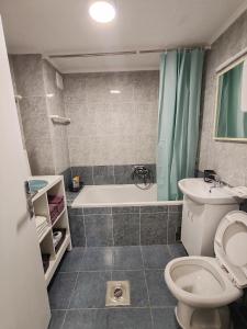 a bathroom with a tub and a toilet and a sink at Sweet house in Novi Sad