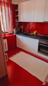 Køkken eller tekøkken på Apartman Kristina