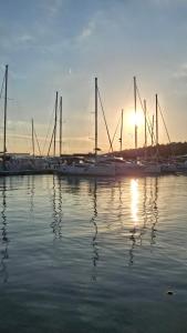 Naturlandskabet i nærheden af lejligheden